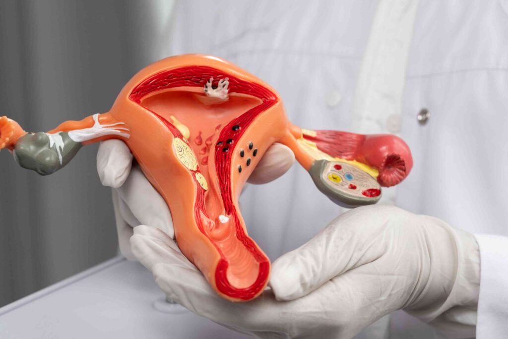 Endometrial lining