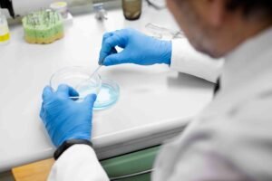 sperm dna fragmentation test normal range