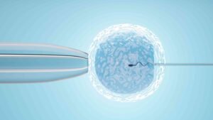rate of success for ivf