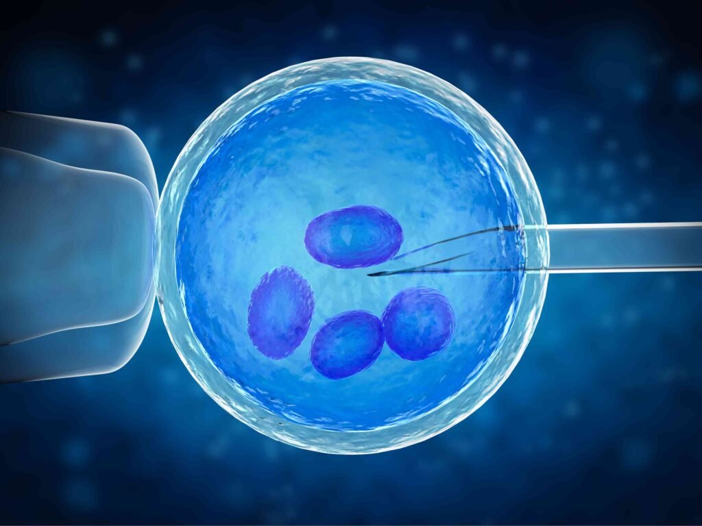 egg donor