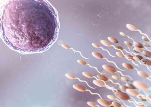 factors affecting fertility in men