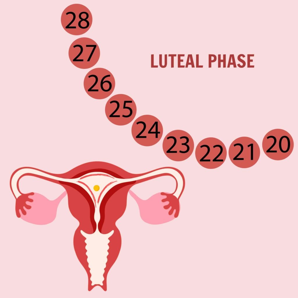 luteal phase deficiency