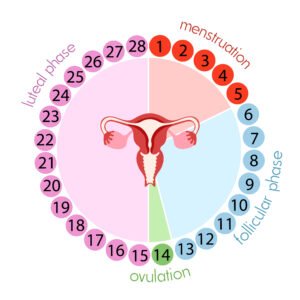 irregular periods