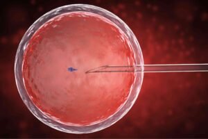 test tube baby