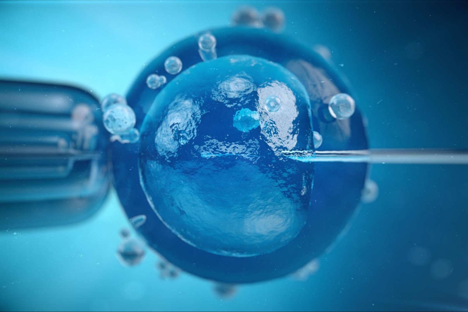 IVF treatment for autoimmune fertility issues