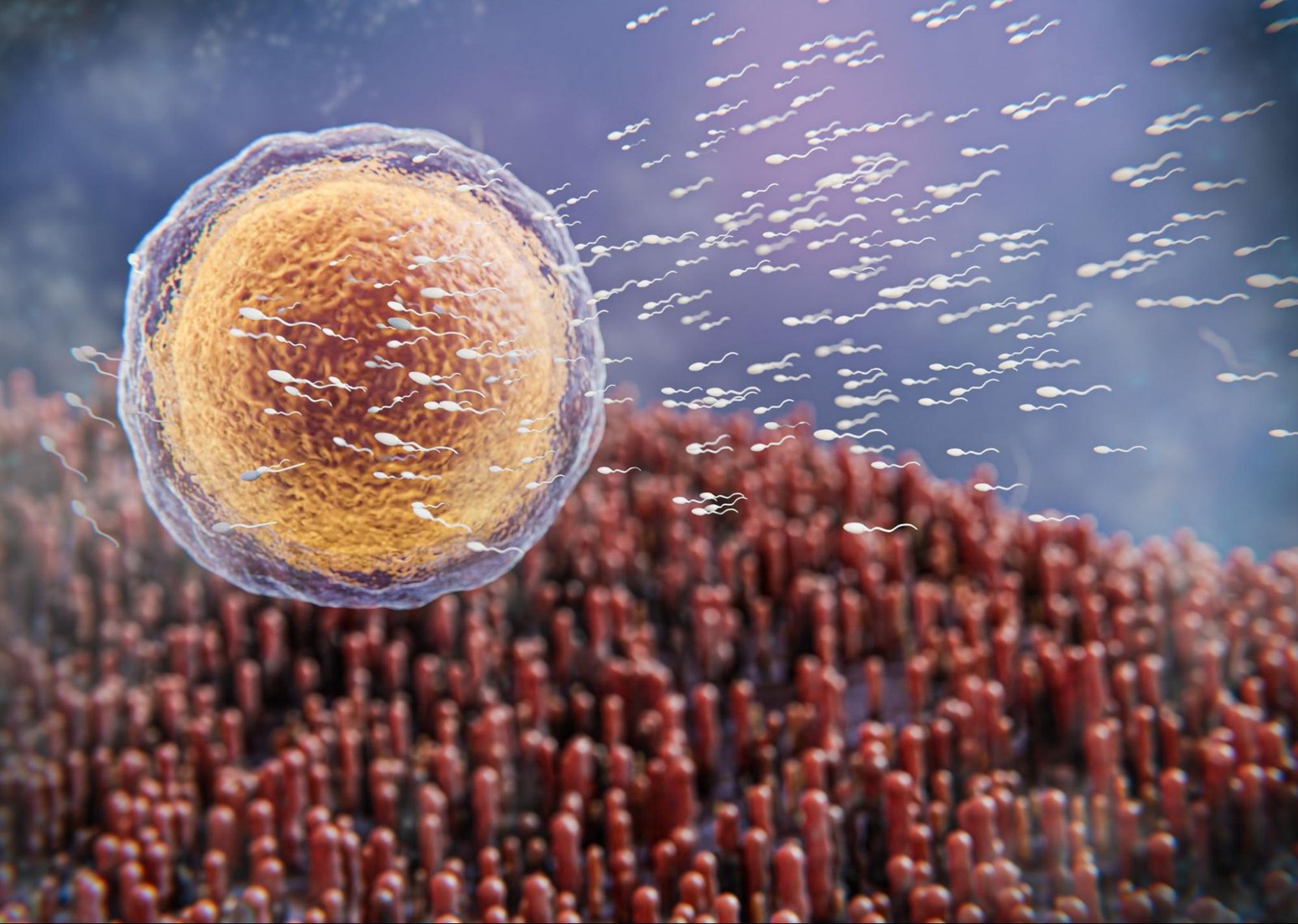 IVF treatment for male factor infertility
