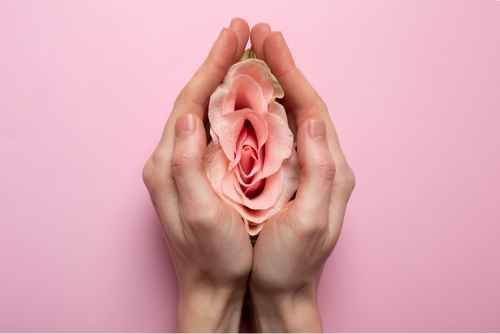 Female Pelvic Floor Health