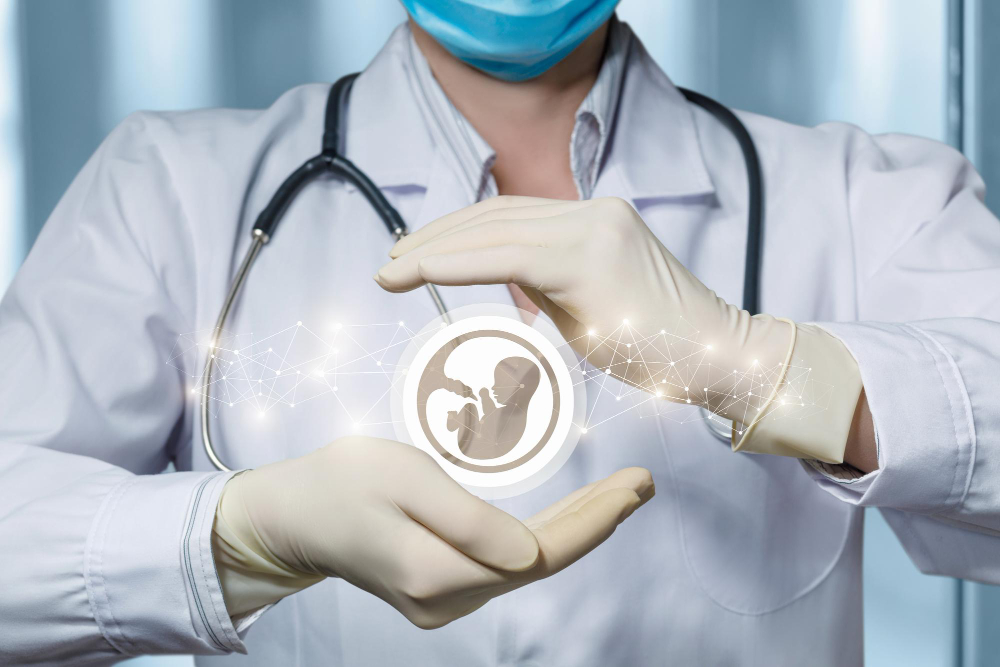 Fresh Embryo vs Frozen Embryo Transfer: Which Is Better